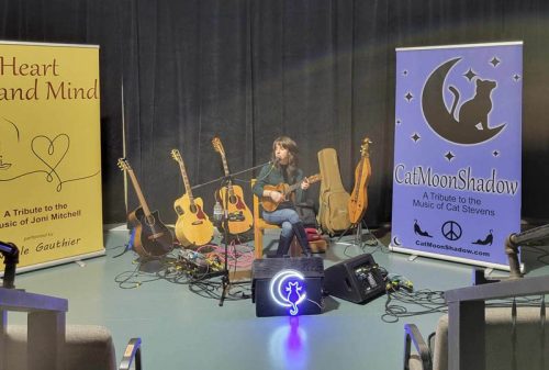 joni-cat-8-Brian-Quinn-min