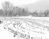 Pausing by the Snowy Field, Vicki McKenna, 20x23, platinum/palladium print, $1200