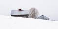 Rockingham Barns, Daniel Gyves, 14 x 10 , Photography, $140.00