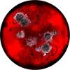 Mold Study 1, Georgina Lewis, 8x8 round, color print on metal, $325