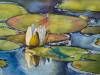 Water Lily 1, Alice Gentili, 16 x 20, Watercolor, $250.00
