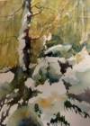 Snow Drift, Jerry Aissis, 12 x 16, Watercolor, $275.00