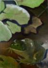 Frog Pond, Carol Frieswick, 7 x 5 , Oil, $140.00