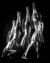 Femme Evolution, Stephen Ide, 18.5x21.5, $225