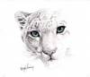 Vanishing Snow Leopard, Margo Lemieux, 14 x 16, , Lithograph, $125.00