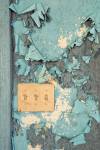 House of Blues IX, Rebecca Skinner, 12x8, photograph on aluminum, $245