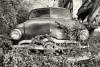 Cozy, Rebecca Skinner, 8 x 12, Photograph on aluminum, $245.00