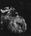 Enrichment, Vanessa R. Thompson, 14x18, silver gelatin, $600