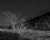 Nightscape II: Lower Cascade Lake, Vicki McKenna, 20x23, platinum/palladium print, $1200